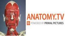 دسترسی به پایگاه Primal Pictures از طریق لینک www.anatomy.tv 